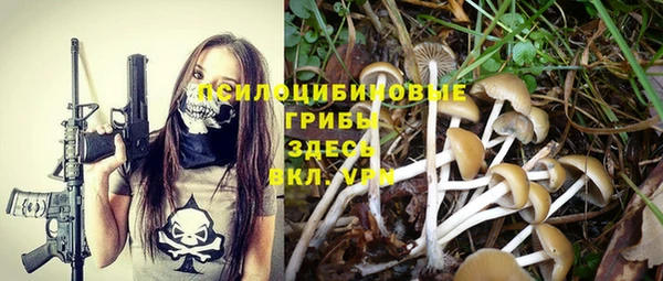 MESCALINE Вяземский