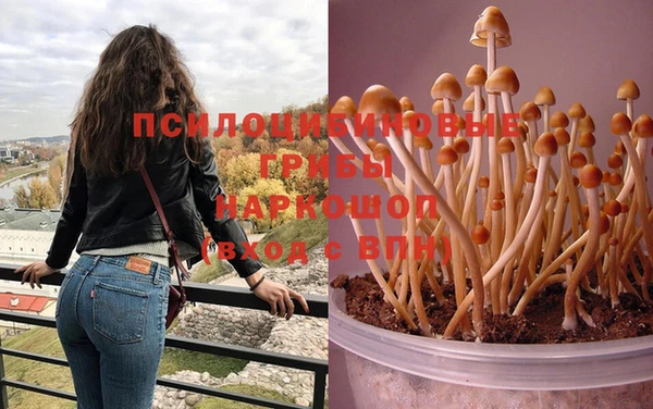 кокаин колумбия Горнозаводск